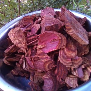 Kapadula